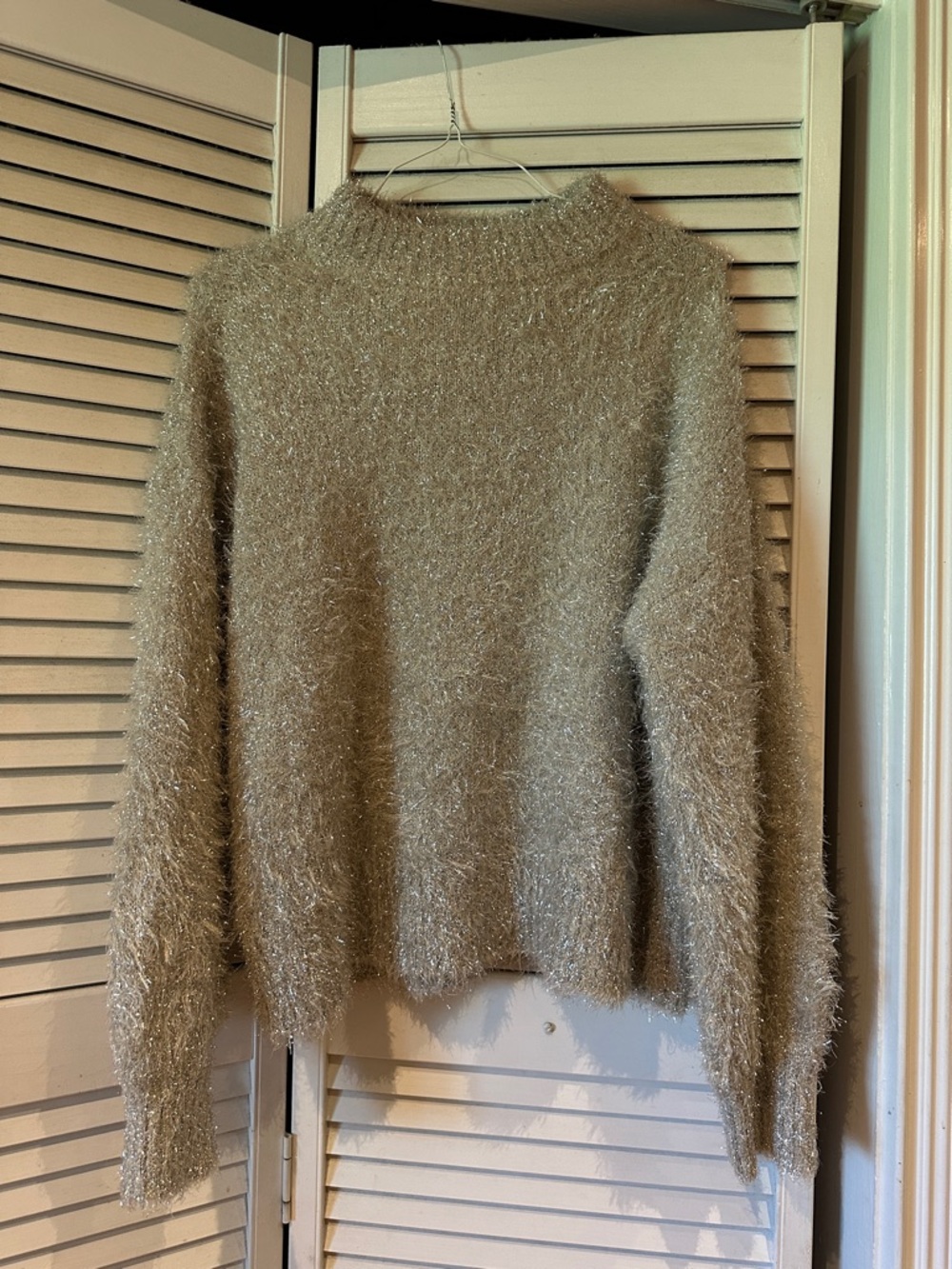 Cozy Shimmery Cream Fuzzy Knit Sweater for Women